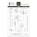 Tampons transparents - SO\' FLOWERS -SERENITE