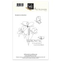 Tampons transparents - SO' FLOWERS -SERENITE