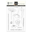 Tampons transparents - SO\' FLOWERS - LIENS NATURELS