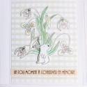 Tampons transparents - SO' CELEBRATE  : TOUS AU JARDIN