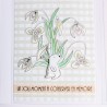 Sokai - Papier -tampons - Loisirs créatifs DIY-- papetERIE CREATIVE- DIY-GNOMES-CLEAR STAMP