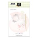 Tampons transparents - SO' CELEBRATE  : TAMPONS DE FOND  - 1 -