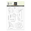Tampons transparents - SO\' CELEBRATE  : LES LOTUS