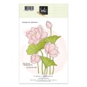 Tampons transparents - SO' CELEBRATE  : LES LOTUS