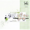 Matrice de coupe  SO' CELEBRATE : MOODBOARD 1