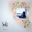 Tampons transparents - SO' CELEBRATE  : LES LOTUS