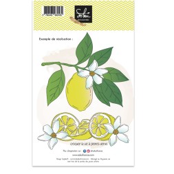 Tampons transparents - SO' FIZZY  : LES CITRONS