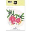 Tampons transparents - SO\' FIZZY  : BRANCHE D\'OLIVIER