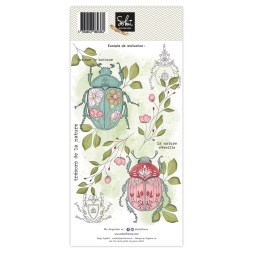 Tampons transparents - SOUVENIRS D'ENFANCE  : TRESORS DE LA NATURE