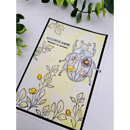 Tampons transparents - SOUVENIRS D'ENFANCE  : TRESORS DE LA NATURE