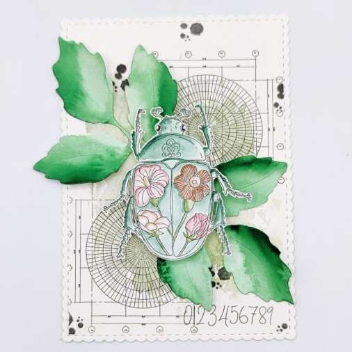 Tampons transparents - SOUVENIRS D'ENFANCE  : TRESORS DE LA NATURE