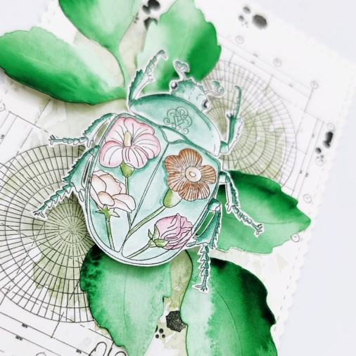 Tampons transparents - SOUVENIRS D'ENFANCE  : TRESORS DE LA NATURE