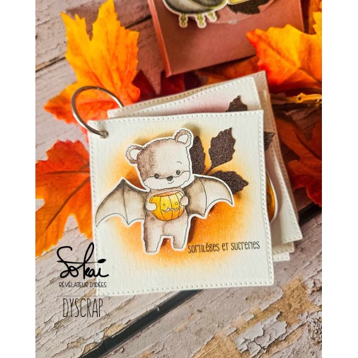 Tampons transparents - RACONTE-MOI UNE HISTOIRE : HAPPY HALLOWEEN