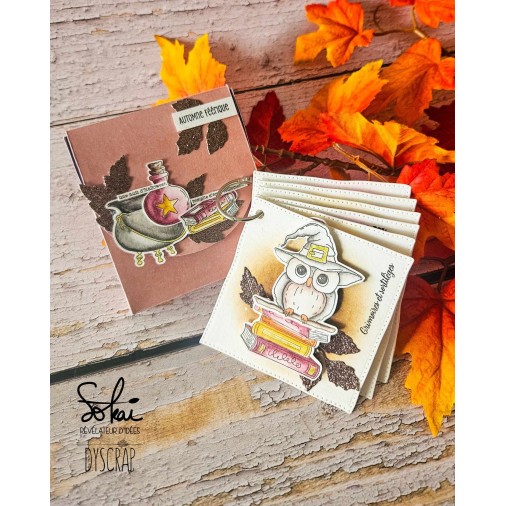 Tampons transparents - RACONTE-MOI UNE HISTOIRE : GRIMOIRE ET SORTILEGES