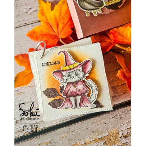 Tampons transparents - RACONTE-MOI UNE HISTOIRE : GRIMOIRE ET SORTILEGES