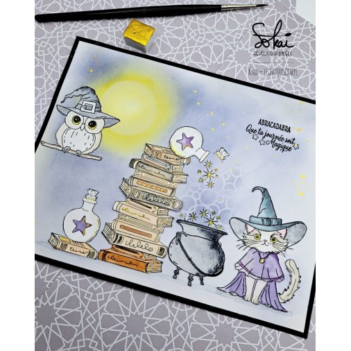 Tampons transparents - RACONTE-MOI UNE HISTOIRE : GRIMOIRE ET SORTILEGES