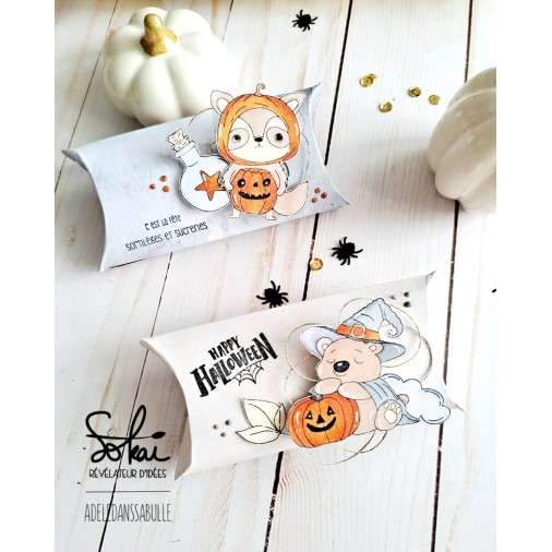 Tampons transparents - RACONTE-MOI UNE HISTOIRE : HAPPY HALLOWEEN