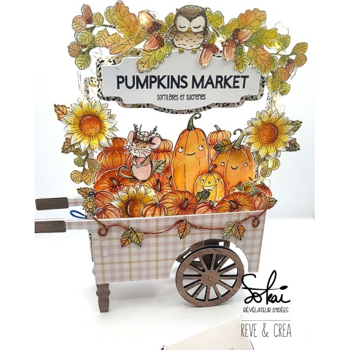 Tampons transparents - RACONTE-MOI UNE HISTOIRE : HAPPY HALLOWEEN