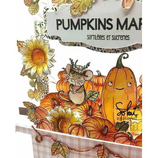 Tampons transparents - RACONTE-MOI UNE HISTOIRE : HAPPY HALLOWEEN