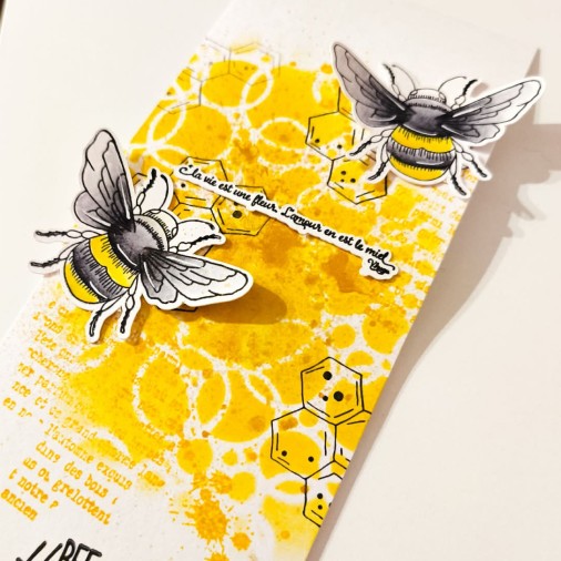 Tampons clear LES ESSENTIELS : BEE HAPPY