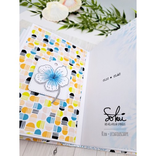 Collection de papiers :  SO' FIZZY