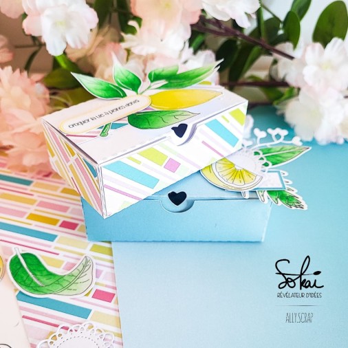 Collection de papiers :  SO' FIZZY