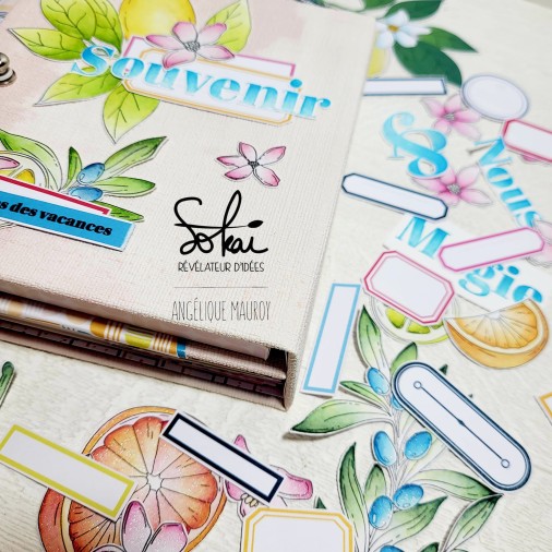 Collection de papiers :  SO' FIZZY