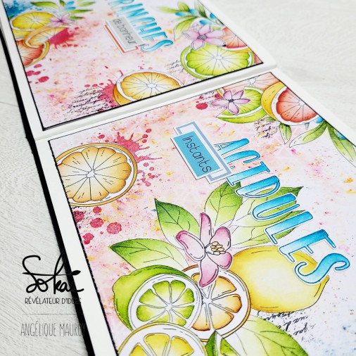 Tampons transparents - SO' FIZZY  : TACHES DE FRUITS