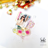Tampons transparents - SO' FIZZY  : BRANCHE D'OLIVIER