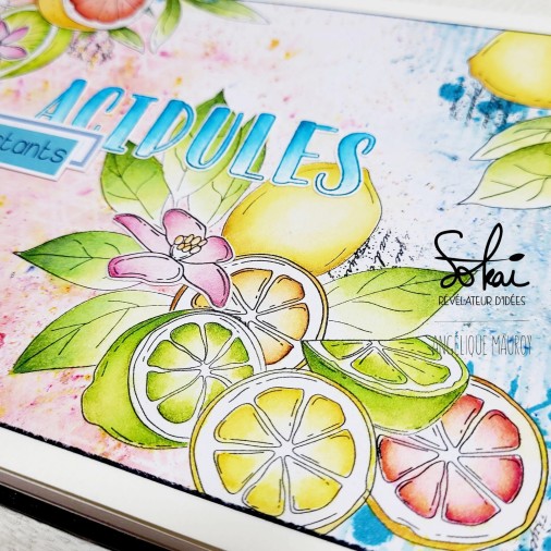 Tampons transparents - SO' FIZZY  : LES CITRONS
