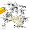 Tampons transparents - SO' FIZZY  : LES CITRONS