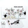 Tampons transparents - SO' FIZZY  : TACHES DE FRUITS