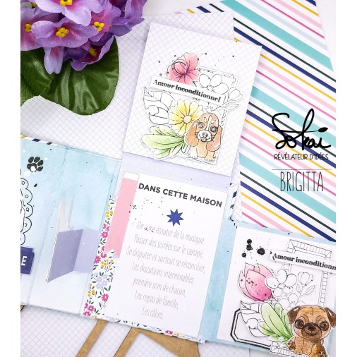 Collection de papiers :  SO' FAMILY
