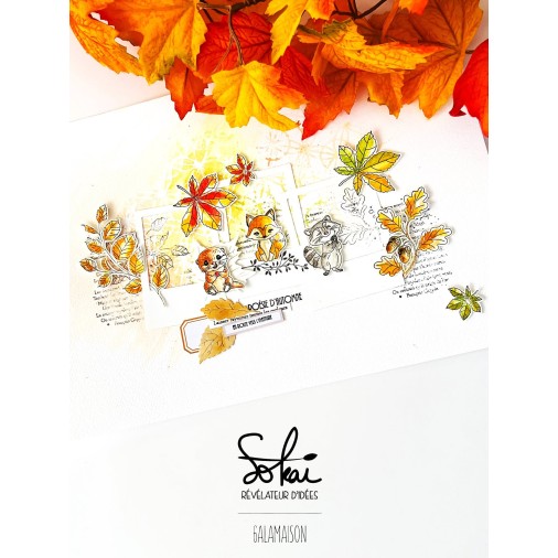Tampons clear ESSENTIELS : Promenade vagabonde