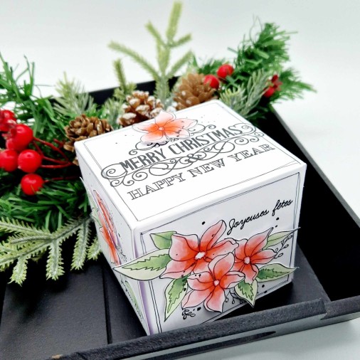 Sokai - Papier -tampons - Loisirs créatifs DIY-- papetERIE CREATIVE- DIY-CLEAR STAMP--NOEL