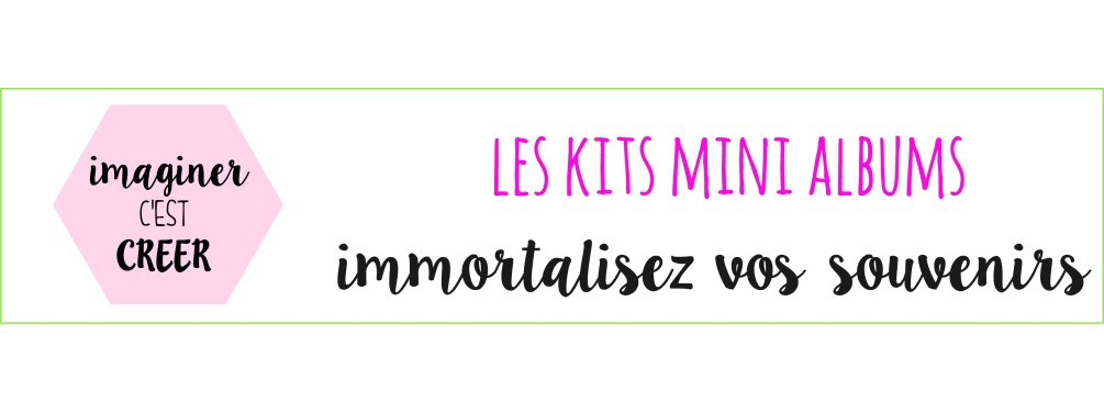 LES MINIS ALBUMS/TUTOS